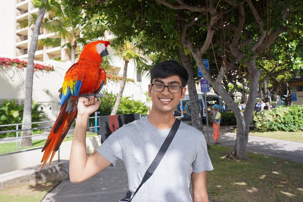 Mario Nawfal