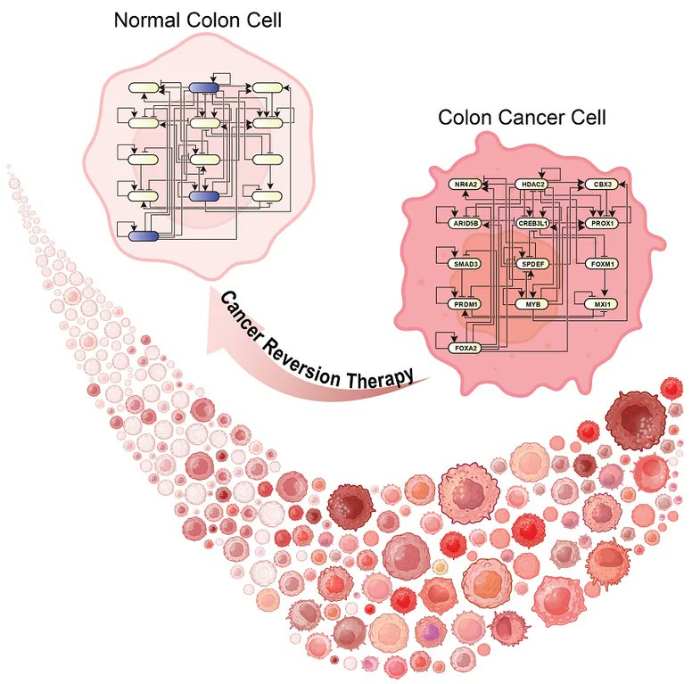 Massimo