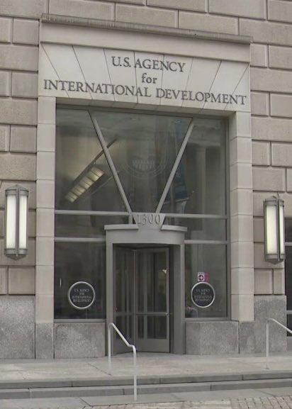 Department of Government Efficiency